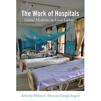 Work of Hospitals: Global Medicine in Local Culture