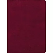 CSB Holy Land Illustrated Bible, Burgundy Leathertouch