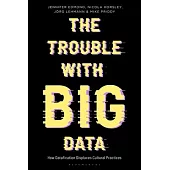 The Trouble with Big Data: How Datafication Displaces Cultural Practices