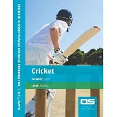 DS Performance - Strength & Conditioning Training Program for Cricket, Speed, Amateur