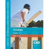 DS Performance - Strength & Conditioning Training Program for Cricket, Stability, Advanced