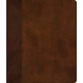 ESV Journaling Bible (Trutone, Brown/Tan, Timeless Design)
