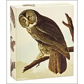 Audubon Owls: Quicknotes
