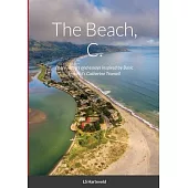 The Beach, C.: Diary, letters and essays inspired by Basic Instinct’’s Catherine Tramell