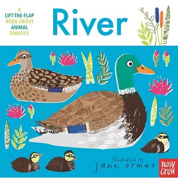 Animal Families: River