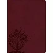 CSB Experiencing God Bible, Burgundy Leathertouch