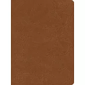 CSB He Reads Truth Bible, Saddle Leathertouch, Indexed