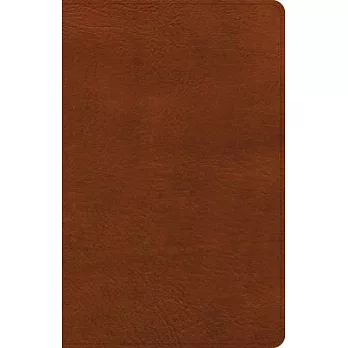CSB Thinline Reference Bible, Burnt Sienna Leathertouch