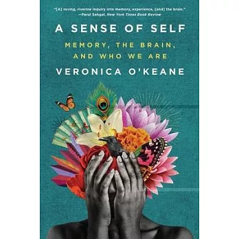 A sense of self : memory, the brain, and who we are /