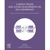 Current Trends and Future Developments on (Bio-) Membranes: Recent Achievements for Ion-Exchange Membranes