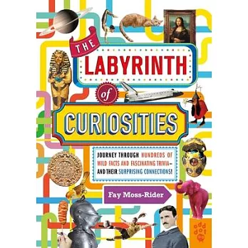 The Labyrinth of Curiosities: Journey Through Hundreds of Facts and Trivia . . . and Discover Their Surprising Connections!