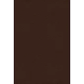 Nrsvue, Holy Bible with Apocrypha, Leathersoft, Brown, Comfort Print