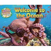 Welcome to the Ocean