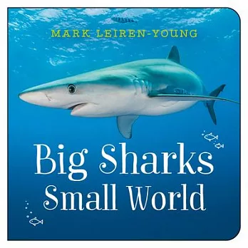 Big Sharks, Small World