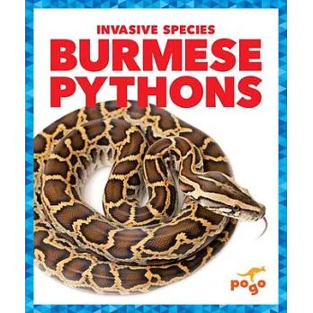 博客來-Burmese Pythons