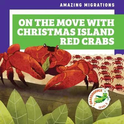 On the Move with Christmas Island Red Crabs
