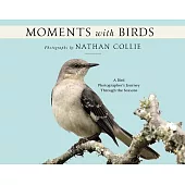Moments with Birds: A Bird Photographer’s Journey Through the Seasons