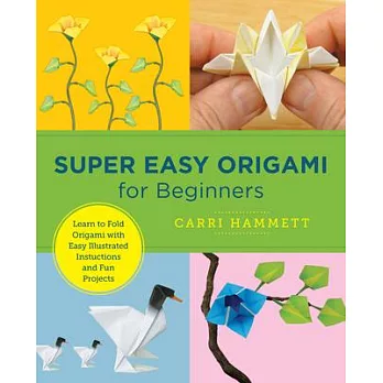 Super Easy Origami for Beginners: Learn to Fold Origami with Easy Illustrated Instuctions and Fun Projects