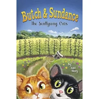 Butch & Sundance: The Scallywag Cats