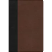 KJV Large Print Thinline Bible, Black/Brown Leathertouch