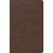 KJV Single-Column Compact Bible, Brown Leathertouch