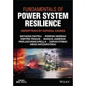 Fundamentals of Power System Resilience: Disruptions by Natural Causes