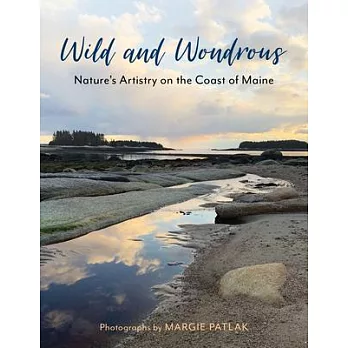 Wild and Wondrous: Nature’s Artistry on the Coast of Maine