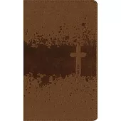 Niv, Kids’ Visual Study Bible, Leathersoft, Bronze, Full Color Interior, Peel/Stick Bible Tabs: Explore the Story of the Bible---People, Places, and H