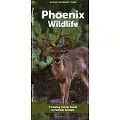Phoenix Wildlife: A Folding Pocket Guide to Familiar Animals