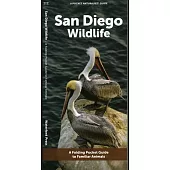 San Diego Wildlife: A Folding Pocket Guide to Familiar Animals