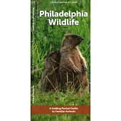 Philadelphia Wildlife: A Folding Pocket Guide to Familiar Animals