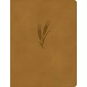 CSB Notetaking Bible, Large Print Edition, Camel Leathertouch