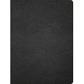 CSB Life Counsel Bible, Genuine Leather: Practical Wisdom for All of Life