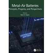 Metal-Air Batteries: Principles, Progress, and Perspectives