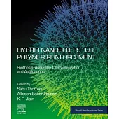 Hybrid Nanofillers for Polymer Reinforcement: Synthesis, Assembly, Characterization, and Applications