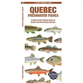 Quebec Fishes (English): A Waterproof Folding Guide to Native and Introduced Species