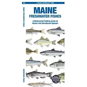 Maine Freshwater Fishes: A Waterproof Folding Guide to Native and Introduced Species