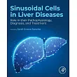 Sinusoidal Cells in Liver Diseases: Role in Their Pathophysiology, Diagnosis, and Treatment