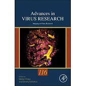Imaging in Virus Research: Volume 116
