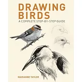 Drawing Birds: A Complete Step-By-Step Guide