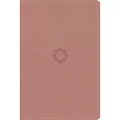 KJV Essential Teen Study Bible, Rose Gold Leathertouch, Indexed