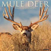 Mule Deer 2024 12 X 12 Wall Calendar