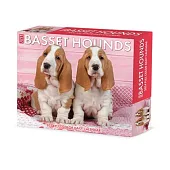 Basset Hounds 2024 6.2 X 5.4 Box Calendar