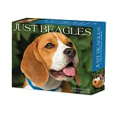 Beagles 2024 6.2 X 5.4 Box Calendar