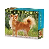 Chihuahuas 2024 6.2 X 5.4 Box Calendar