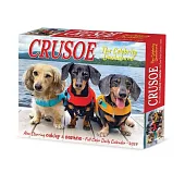 Crusoe the Celebrity Dachshund 2024 6.2 X 5.4 Box Calendar