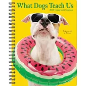 What Dogs Teach Us 2024 6.5 X 8.5 Engagement Calendar
