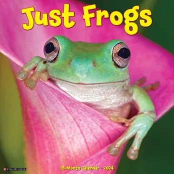 Just Frogs 2024 12 X 12 Wall Calendar
