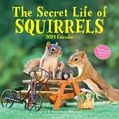The Secret Life of Squirrels Wall Calendar 2024