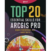 Top 20 Essential Skills for Arcgis Pro
